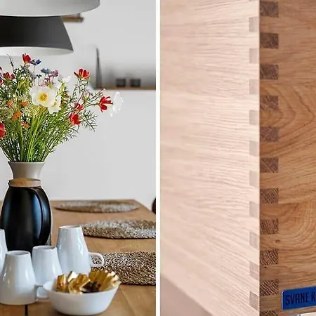 בית נופש Bv416-blavand-fyrrevaenget-37