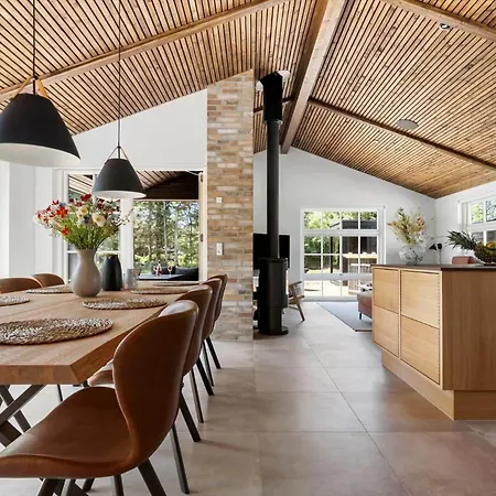 度假居 Bv416-blavand-fyrrevaenget-37