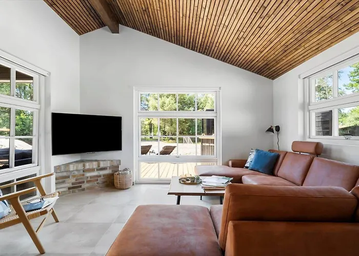 度假居 Bv416-blavand-fyrrevaenget-37